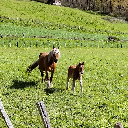 Pays Basque Munhoa Anhaux