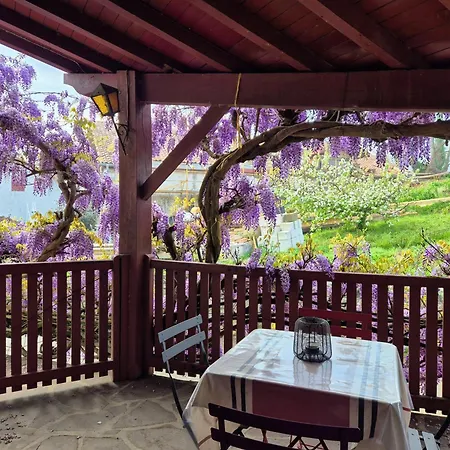 Pays Basque Munhoa Holiday home *
