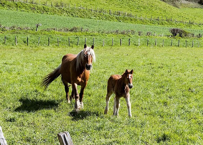 Pays Basque Munhoa Anhaux
