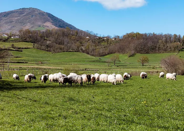 Nyaraló Pays Basque Munhoa Anhaux